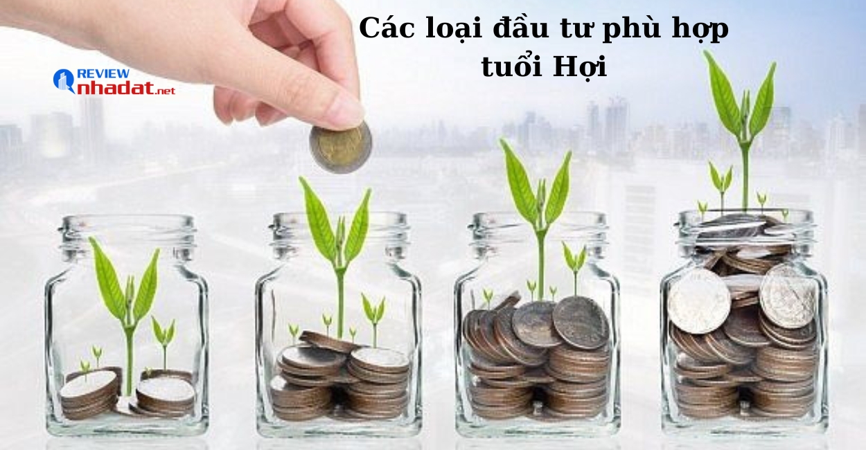 Tuổi Hợi nên đầu tư gì trong năm 2023 ? 4 Các loại đầu tư phù hợp cho người tuổi Hợi trong năm 2023