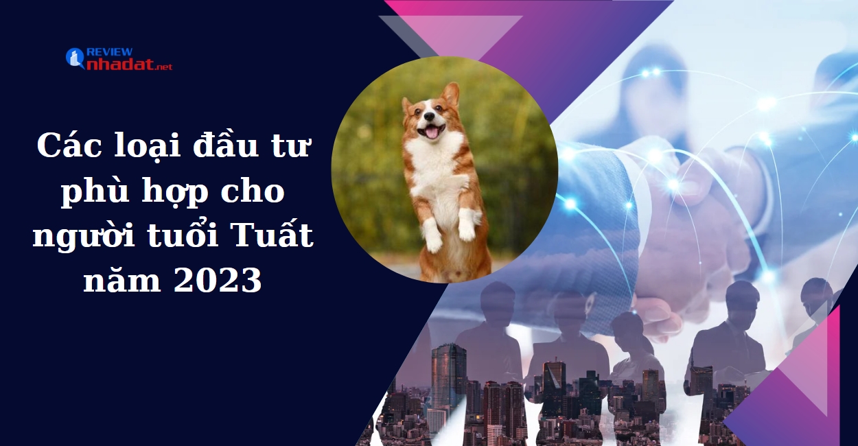 Tuổi Tuất nên đầu tư gì trong năm 2023 ? 3 Các loại đầu tư phù hợp cho người tuổi Tuất trong năm 2023