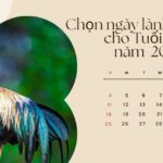Chọn ngày lành tháng tốt cho Tuổi Dậu năm Quý Mão 2023