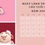 Chọn ngày lành tháng tốt cho Tuổi Hợi năm Quý Mão 2023