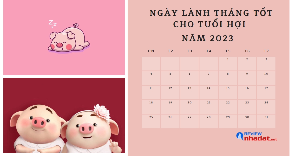 Chọn ngày lành tháng tốt cho Tuổi Hợi năm Quý Mão 2023 ? 2 Chọn ngày lành tháng tốt cho Tuổi Hợi năm Quý Mão 2023