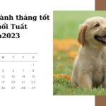 Chọn ngày lành tháng tốt cho Tuổi Tuất năm Quý Mão 2023