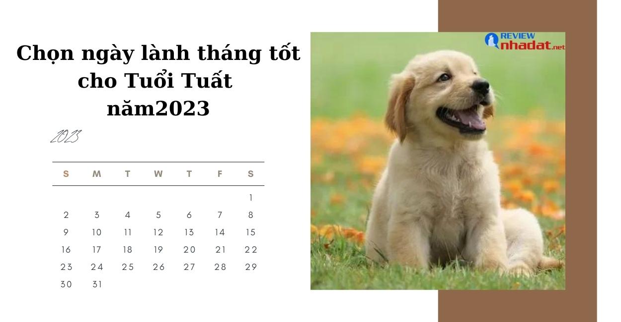 Chọn ngày lành tháng tốt cho Tuổi Tuất năm Quý Mão 2023 ? 2 Chọn ngày lành tháng tốt cho Tuổi Tuất năm Quý Mão 2023