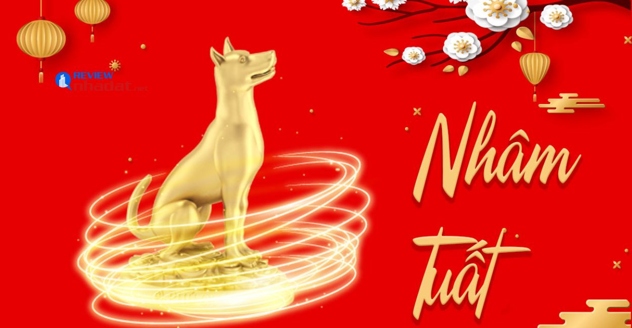 Tuổi Tuất nên đầu tư gì trong năm 2023 ? 4 Đầu tư phù hợp tuổi Nhâm Tuất 1982 năm 2023