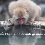 Kinh doanh để đạt được thành công, tài lộc trong năm 2023