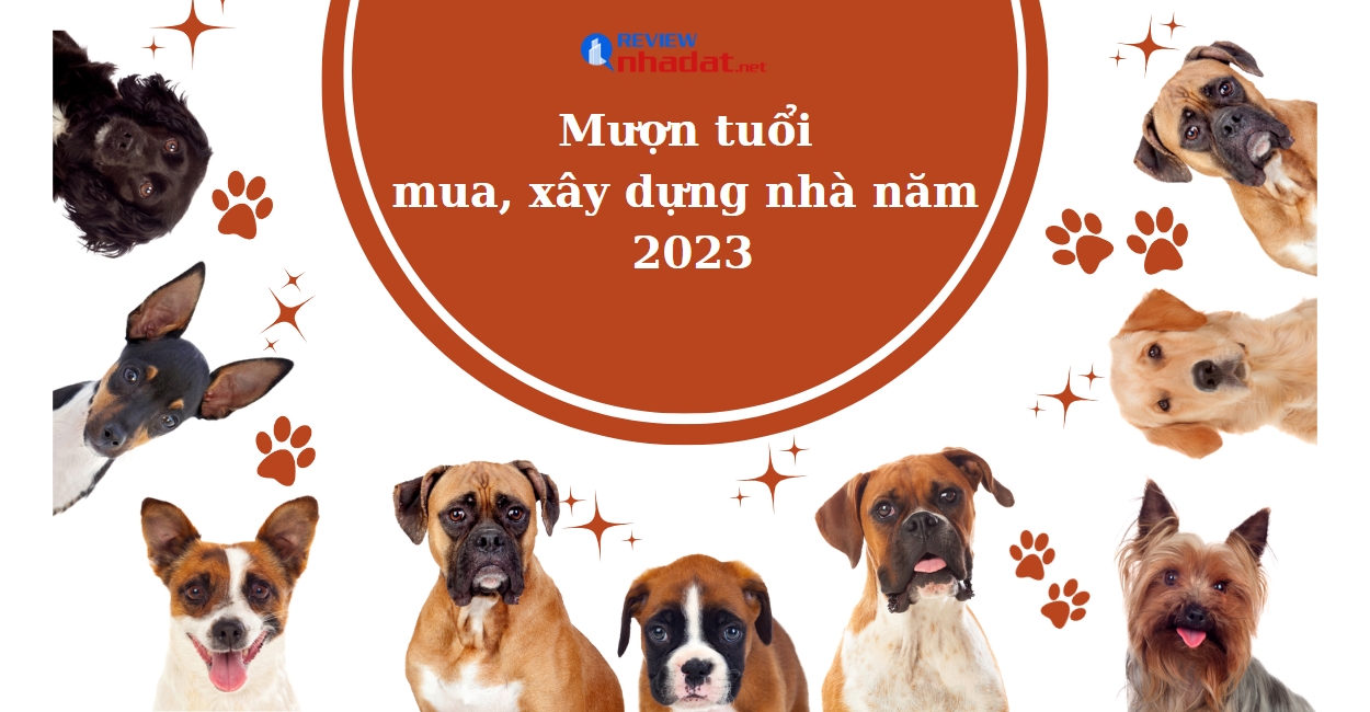 Chọn ngày lành tháng tốt cho Tuổi Tuất năm Quý Mão 2023 ? 6 Mượn tuổi mua, xây dựng nhà năm 2023 tuổi Giáp Tuất 2023