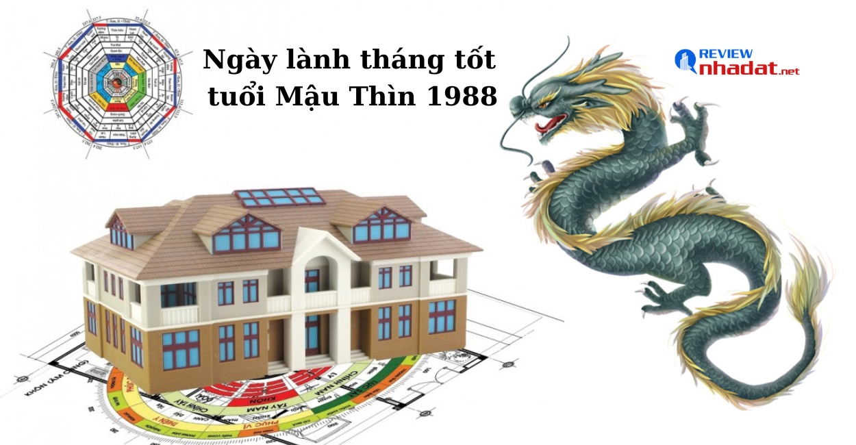 Tuổi Thìn ngày lành tháng tốt trong năm Quý Mão 2023 ? 4 Ngày lành tháng tốt của tuổi Mậu Thìn 1988 trong năm 2023