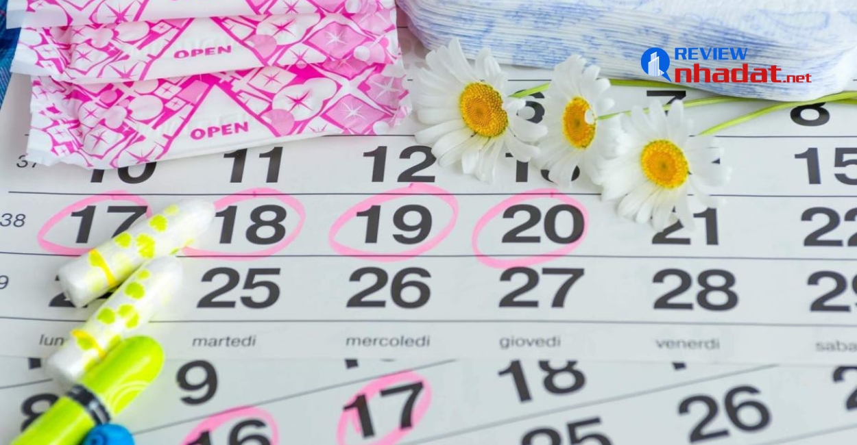 Tuổi Thìn ngày lành tháng tốt trong năm Quý Mão 2023 ? 6 Lưu ý chọn ngày lành tháng tốt năm 2023
