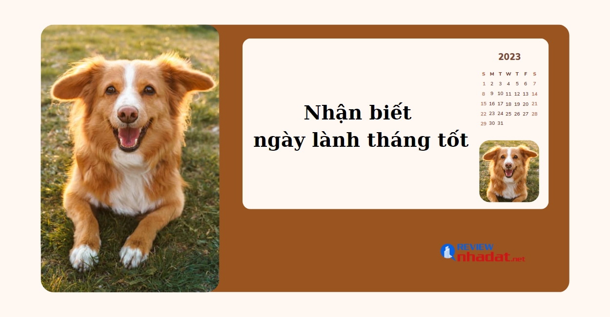 Chọn ngày lành tháng tốt cho Tuổi Tuất năm Quý Mão 2023 ? 3 Nhận biết ngày lành tháng tốt của tuổi Canh Tuất 1970 trong năm 2023