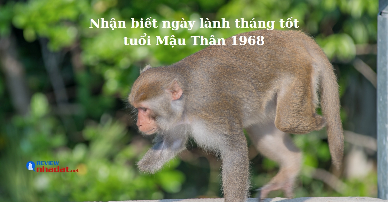 Nhận biết ngày lành tháng tốt của tuổi Mậu Thân 1968