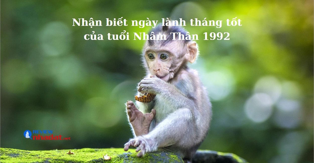 Nhận biết ngày lành tháng tốt của tuổi Nhâm Thân 1992