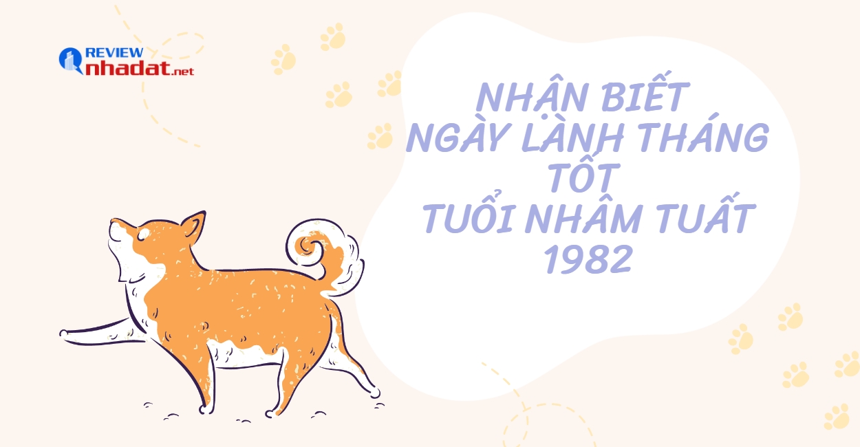 Chọn ngày lành tháng tốt cho Tuổi Tuất năm Quý Mão 2023 ? 4 Nhận biết ngày lành tháng tốt của tuổi Nhâm Tuất 1982 trong năm 2023