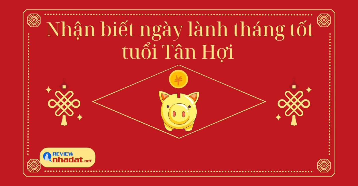 Chọn ngày lành tháng tốt cho Tuổi Hợi năm Quý Mão 2023 ? 3 Nhận biết ngày lành tháng tốt của tuổi Tân Hợi 1971 trong năm 2023