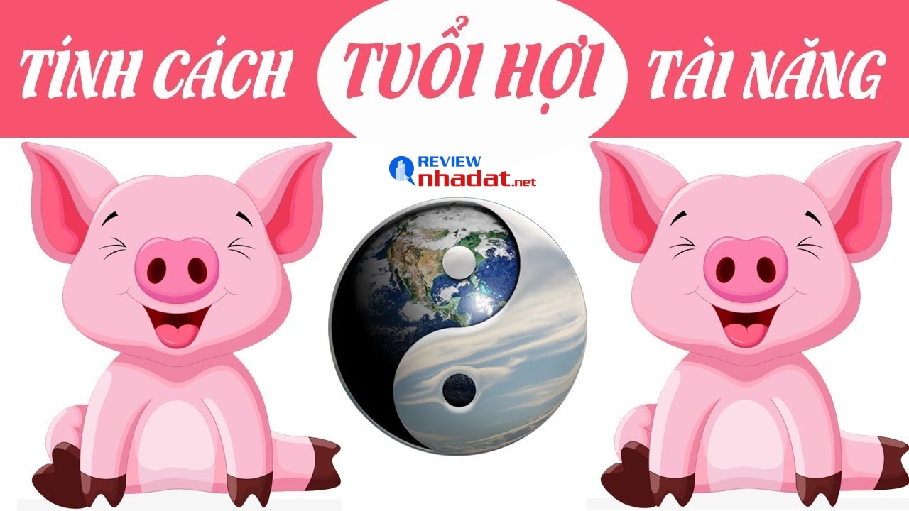 Tuổi Hợi nên đầu tư gì trong năm 2023 ? 3 Tính cách của người tuổi Hợi ảnh hưởng thế nào đến đầu tư