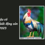 Tuổi Dậu có nên mua, xây bất động sản năm 2023