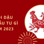 Tuổi Dậu nên đầu tư gì trong năm 2023 ? 1 Tuổi Dậu nên đầu tư gì trong năm 2023