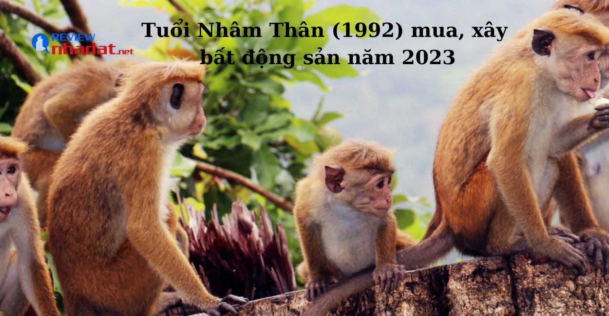 Tuổi Giáp Thân (2004) mua, xây bất động sản năm Quý Mão 2023