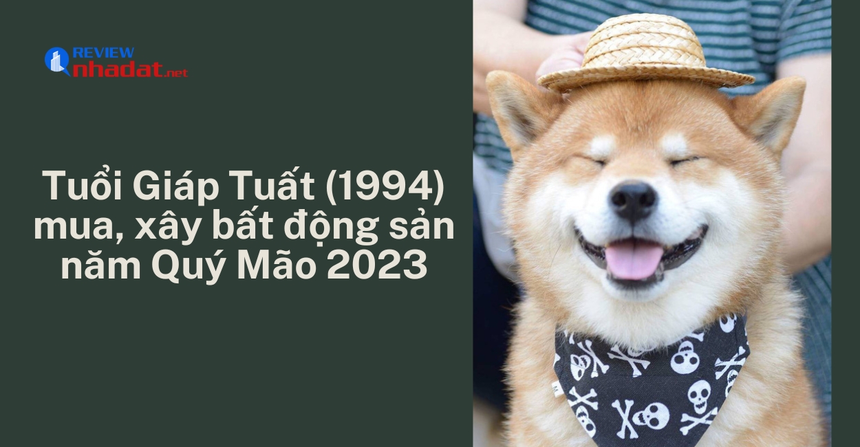 Tuổi Tuất có nên mua, xây bất động sản năm 2023 không ? 6 Tuổi Giáp Tuất (1994) mua, xây bất động sản năm Quý Mão 2023