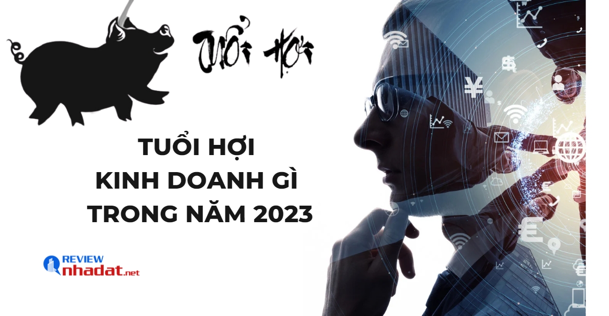 Tuổi Hợi kinh doanh gì để đạt được thành công, tài lộc trong năm 2023 ? 2 Tuổi Hợi kinh doanh gì để đạt được thành công, tài lộc trong năm 2023