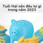 Tuổi Hợi nên đầu tư gì trong năm 2023