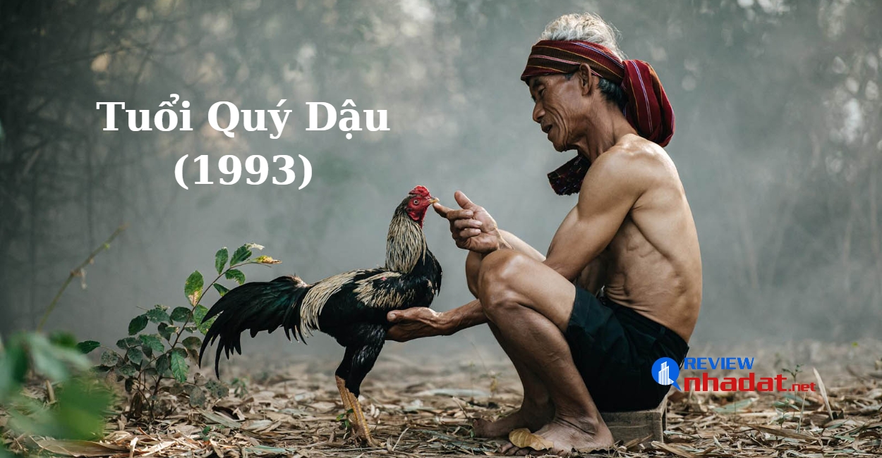 Tuổi Quý Dậu (1993) có nên mua, xây bất động sản năm Quý Mão 2023