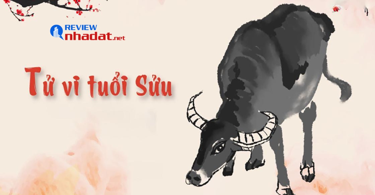 Tuổi Sửu đầu tư gì trong năm 2023 ? 3 Tính cách của Quý Sửu 1973 trong đầu tư