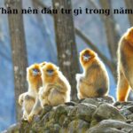 Tuổi Thân nên đầu tư gì trong năm 2023