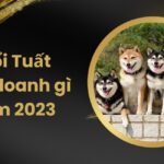 Tuổi Tuất kinh doanh để đạt được thành công, tài lộc trong năm 2023