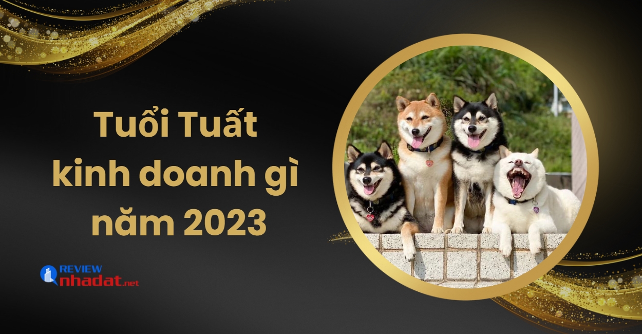 Tuổi Tuất kinh doanh gì để đạt được thành công, tài lộc trong năm 2023 ? 45 Tuổi Tuất kinh doanh để đạt được thành công, tài lộc trong năm 2023