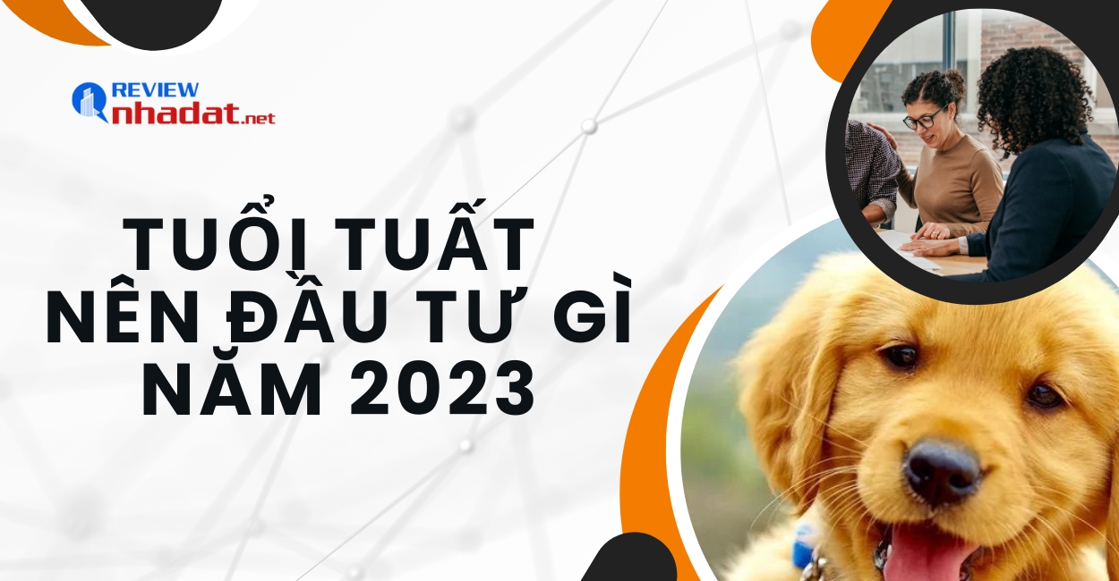 Tuổi Tuất nên đầu tư gì trong năm 2023 ? 1 Tuổi Tuất nên đầu tư gì trong năm 2023
