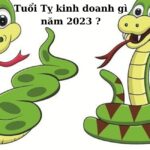 Tuổi Tỵ kinh doanh gì năm 2023