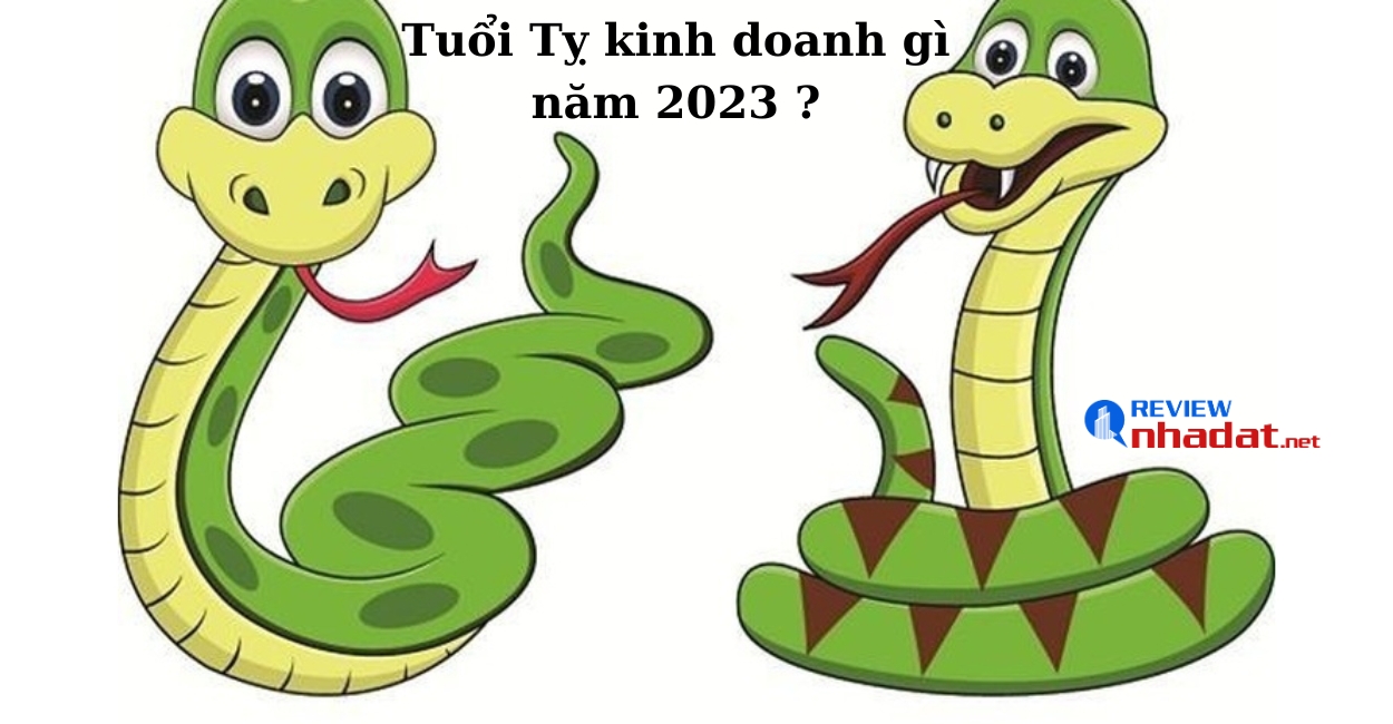 Tuổi Tỵ kinh doanh gì năm 2023