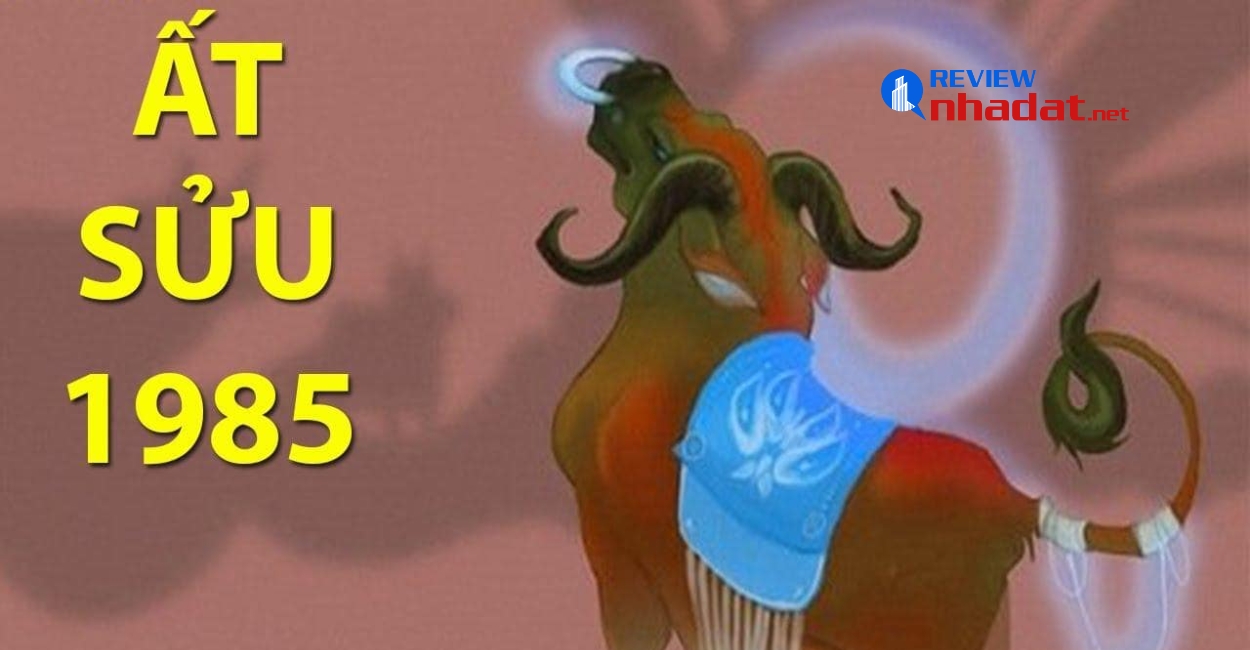 Tuổi Sửu đầu tư gì trong năm 2023 ? 4 Các loại đầu tư phù hợp cho người Tuổi ất sửu 1985 trong năm Quý Mão 2023