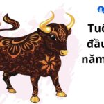 Tuổi sửu đầu tư gì năm 2023