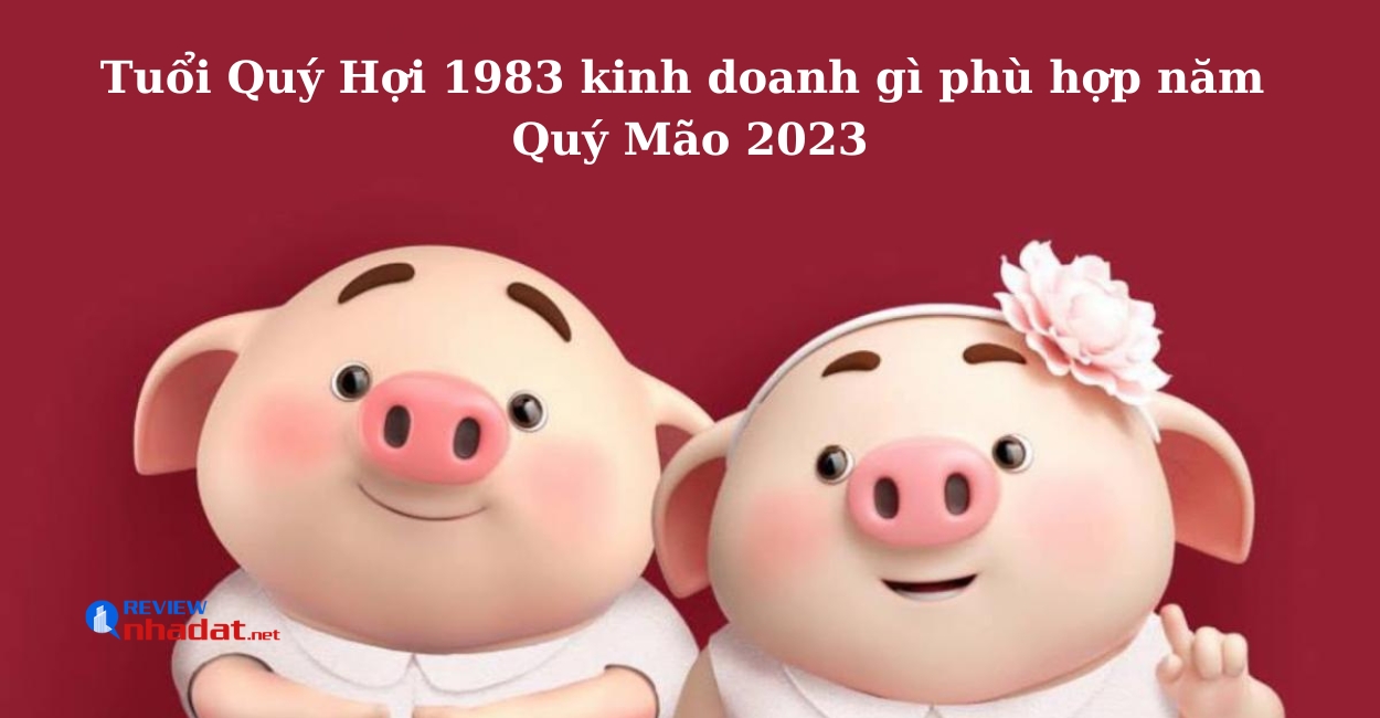Tuổi Hợi kinh doanh gì để đạt được thành công, tài lộc trong năm 2023 ? 5 tuổi Quý Hợi 1983 kinh doanh gì phù hợp năm Quý Mão 2023